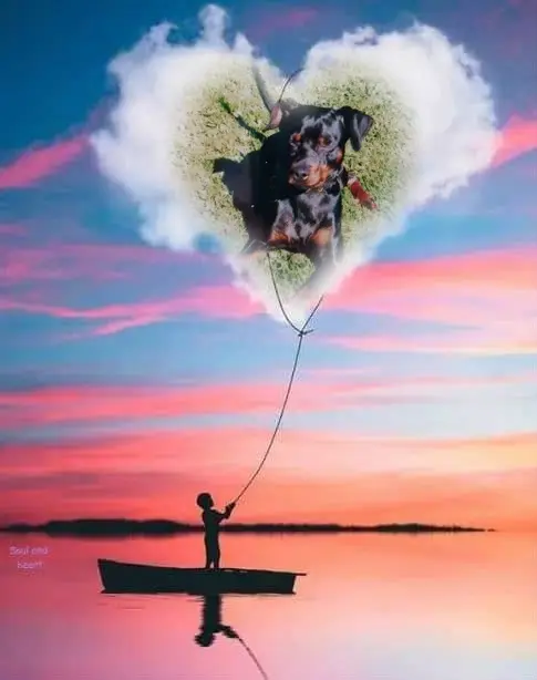 Condolence image of ❤️❤️❤️