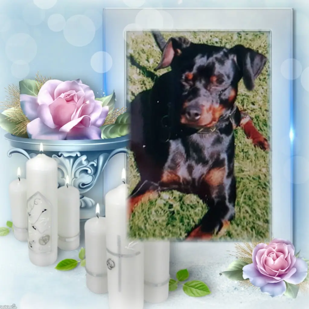 Condolence image of ❤️❤️❤️ALLEHEILIGEN❤️❤️❤️