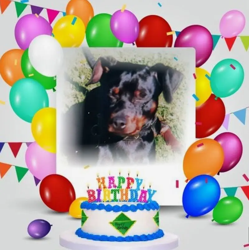 Condolence image of ❤️Geburtstag❤️❤️❤️Kind❤️