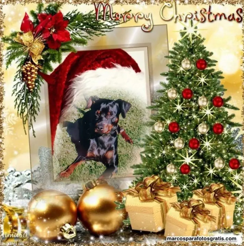 Condolence image of ❤️WEIHNACHTEN❤️❤️❤️