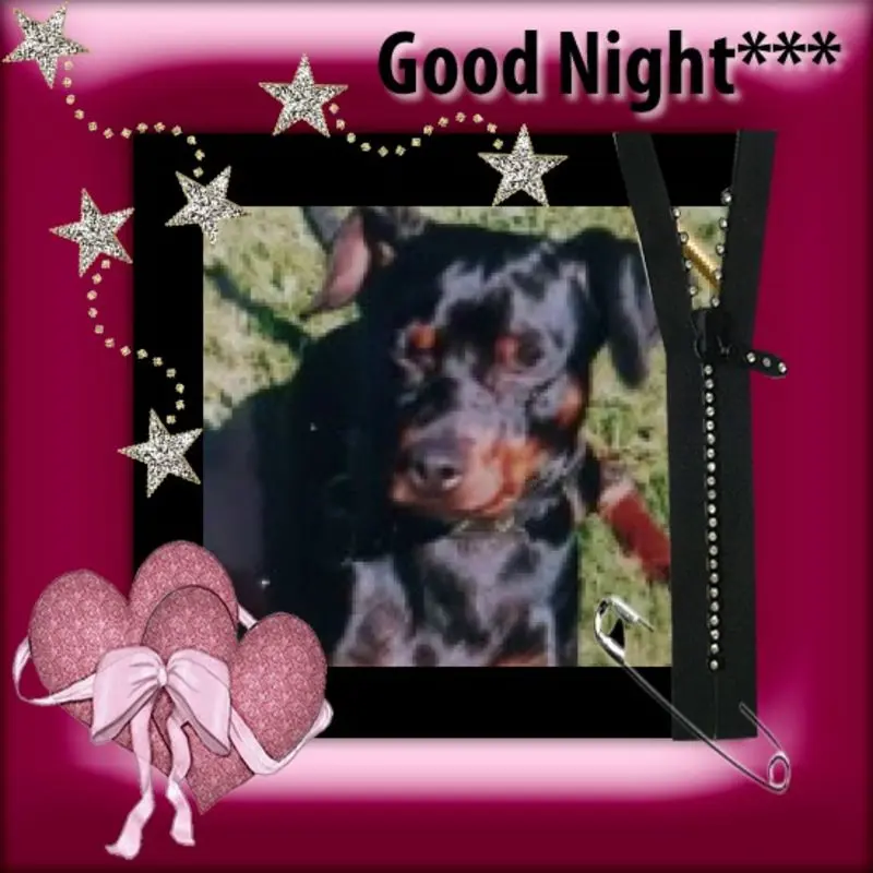 Condolence image of Gute Nacht❤️❤️❤️