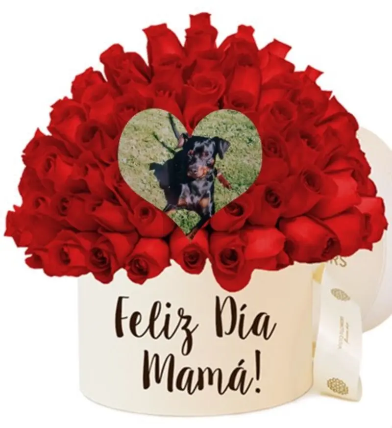 Condolence image of ❤️Mama❤️