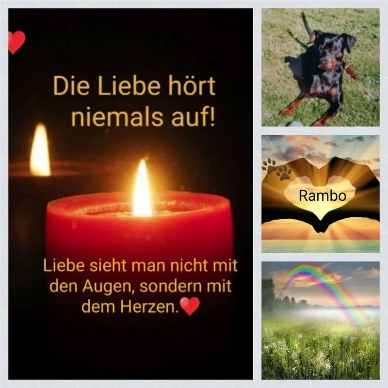 Condolence image of Birgit