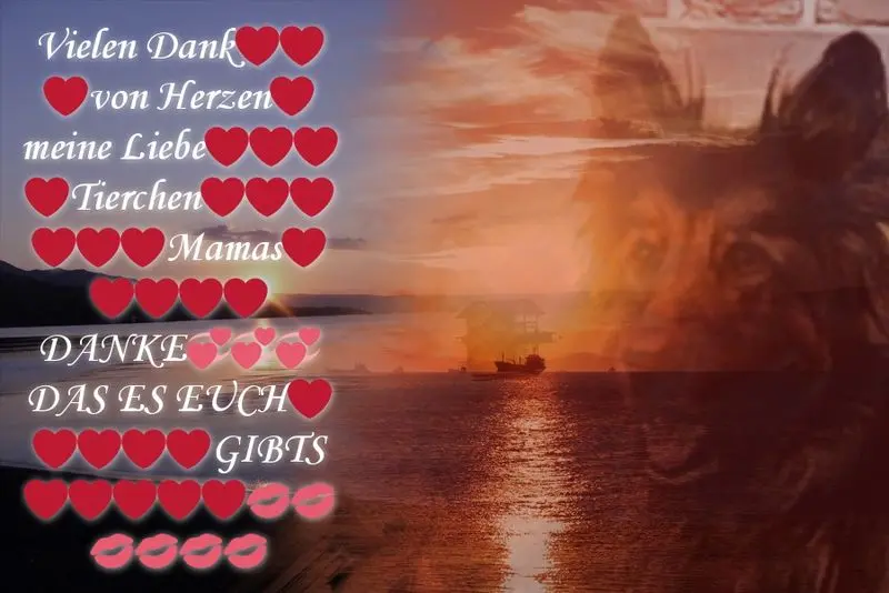 Condolence image of DANKE SCHON❤️❤️❤️