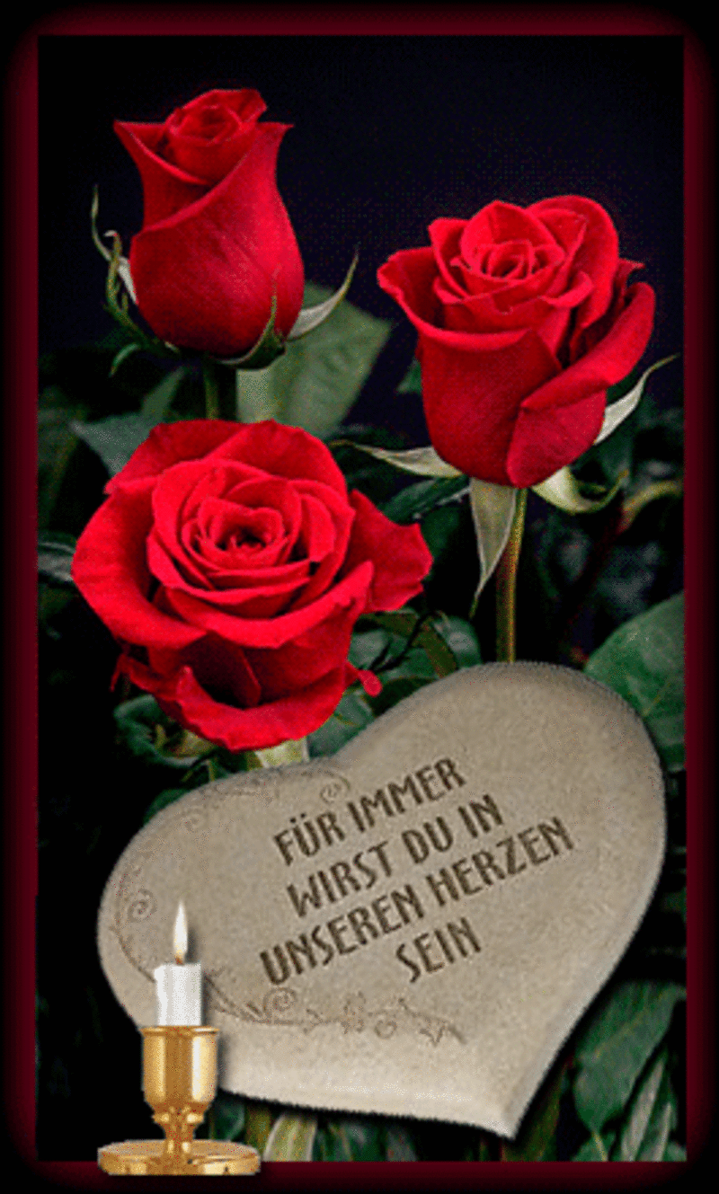 Condolence image of In Stillen Gedanken❤️❤️❤️an Rambolein❤️