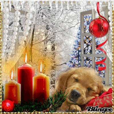 Condolence image of 3. Advent❤️❤️❤️