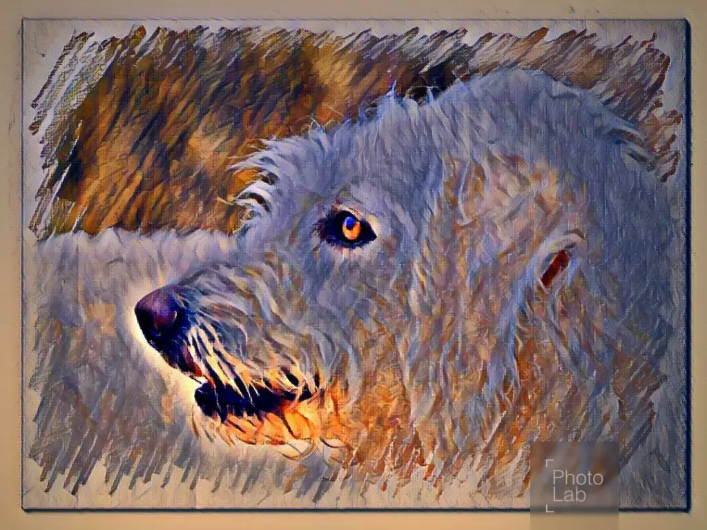 Condolence image of Marga