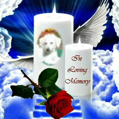 Condolence image of ❤️QUITILEIN❤️