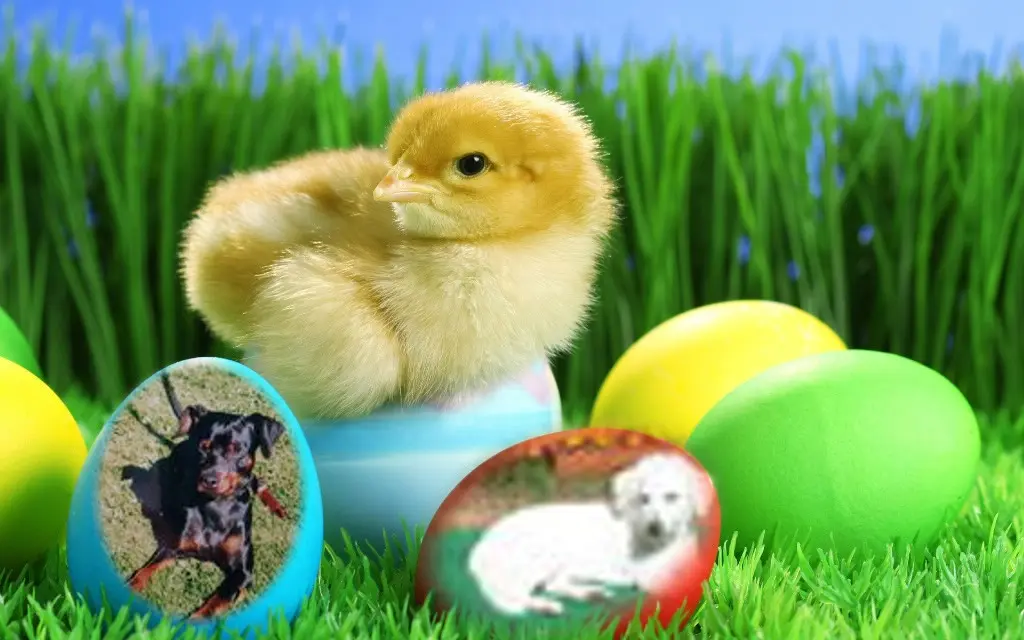 Condolence image of Frohe❤️❤️❤️Ostern❤️