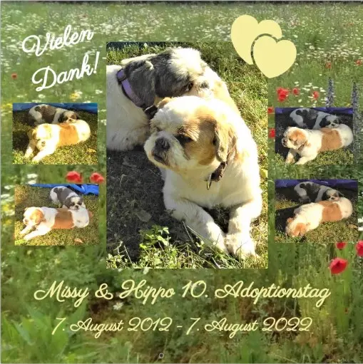Condolence image of Danke von Missy & Hippo ♥✰✰♥