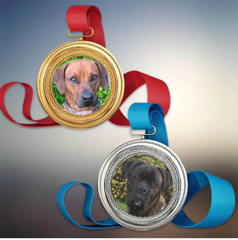 Condolence image of Britta mit Seelenhund Ebony tief im Herzen