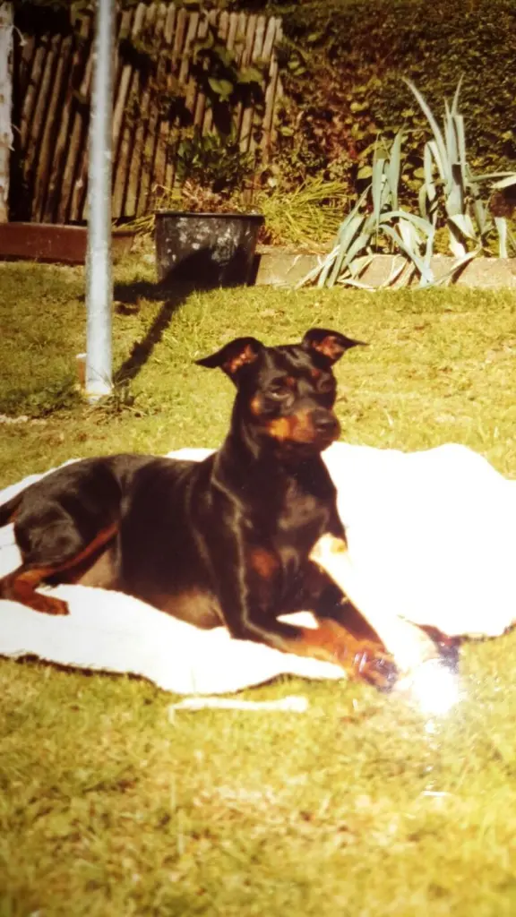 Condolence image of Marga