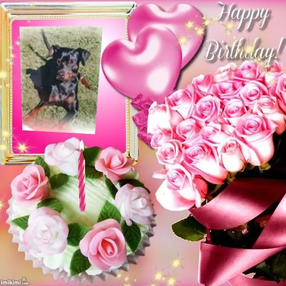 Condolence image of 22.Geburtstag❤️❤️❤️❤️❤️❤️❤️❤️❤️❤️❤️❤️❤️❤️❤️❤️❤️❤️❤️❤️❤️❤️