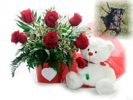 Condolence image of 22.Geburtstag❤️❤️❤️❤️❤️❤️❤️❤️❤️❤️❤️❤️❤️❤️❤️❤️❤️❤️❤️❤️❤️❤️