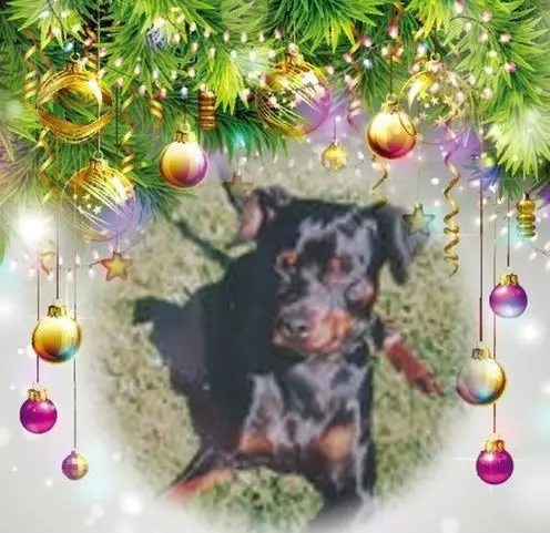 Condolence image of Frohe❤❤❤Weihnachten❤❤❤
