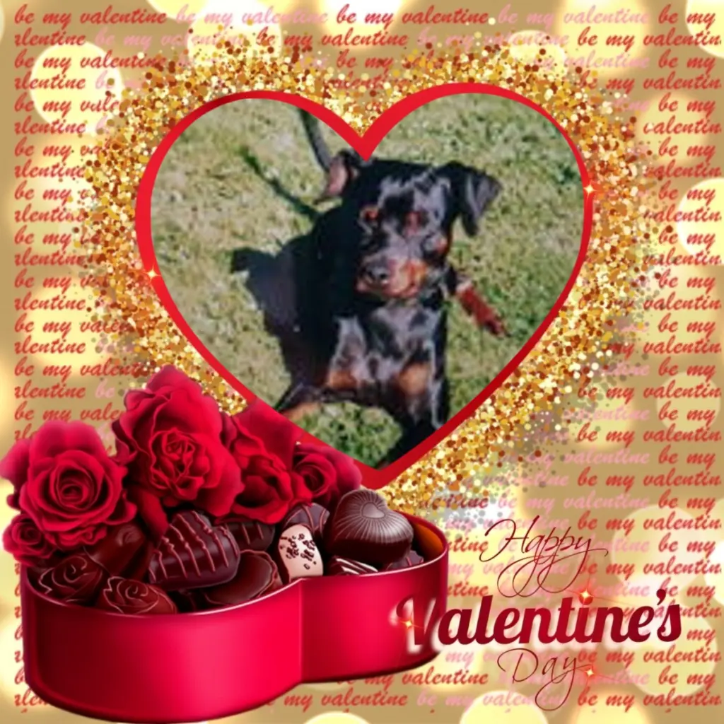 Condolence image of Valentins❤️Rosen❤️❤️❤️❤️❤️❤️❤️❤️