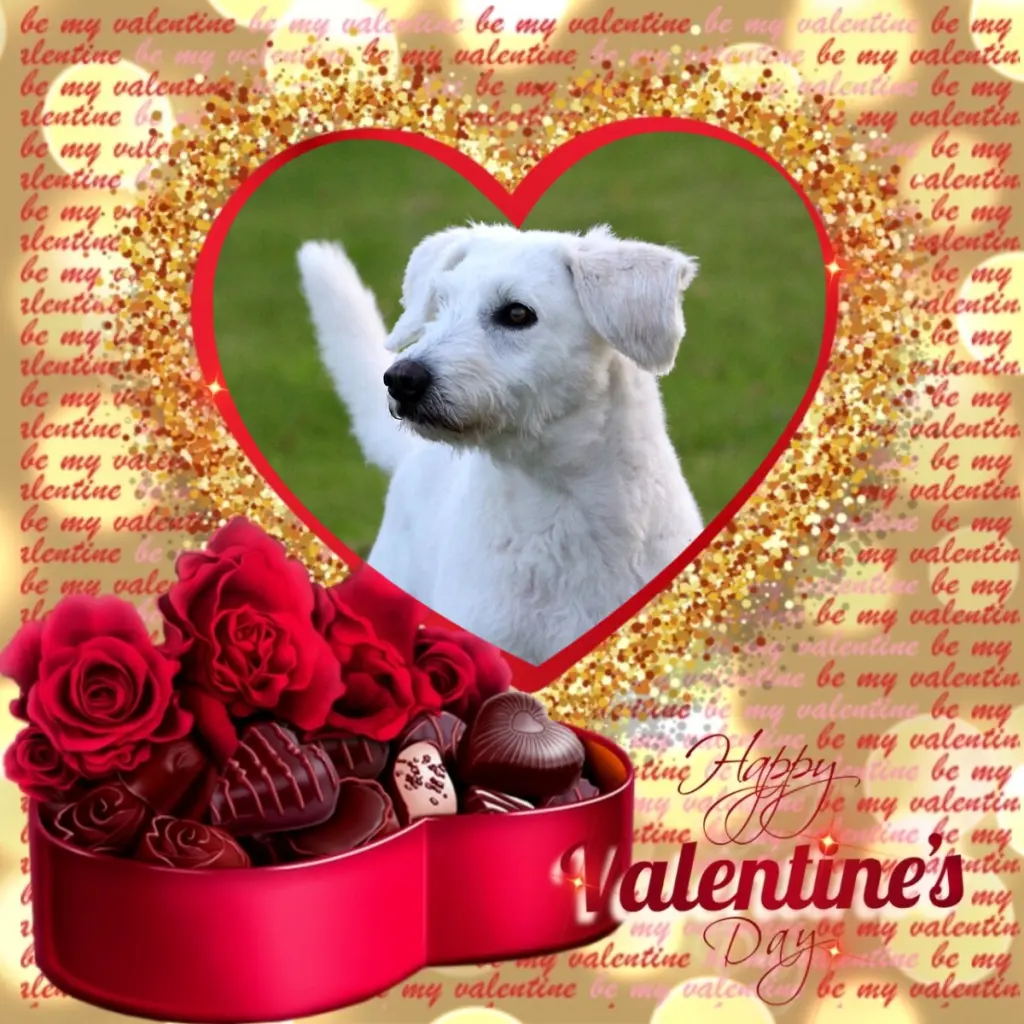 Condolence image of Valentins❤️Rosen❤️❤️❤️❤️❤️❤️❤️❤️