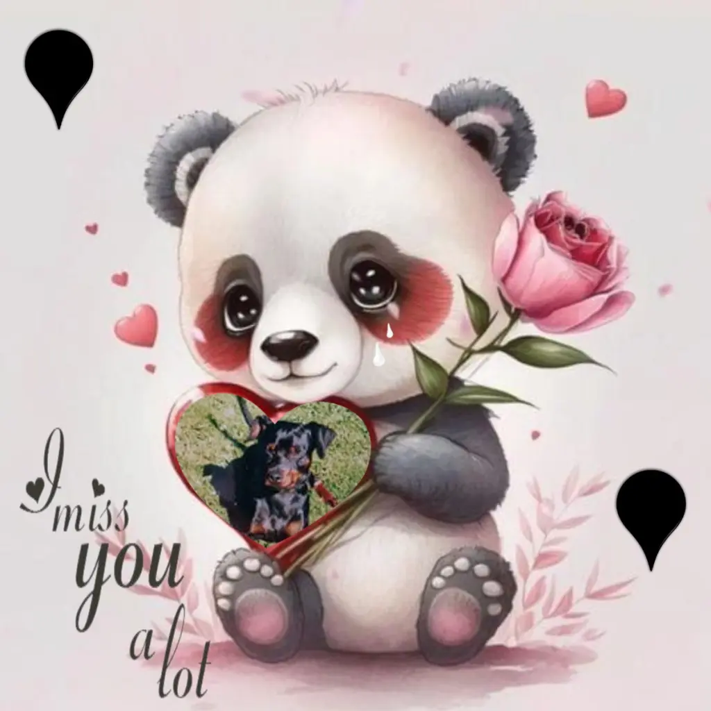 Condolence image of Montags❤️Rosenchen❤️❤️❤️❤️❤️❤️❤️fur Rambolein❤️⭐️