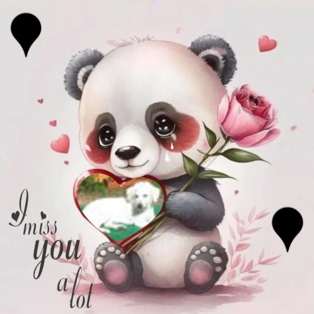 Condolence image of Montags❤️Rosenchen❤️❤️❤️❤️❤️❤️❤️fur Quitilein❤️⭐️