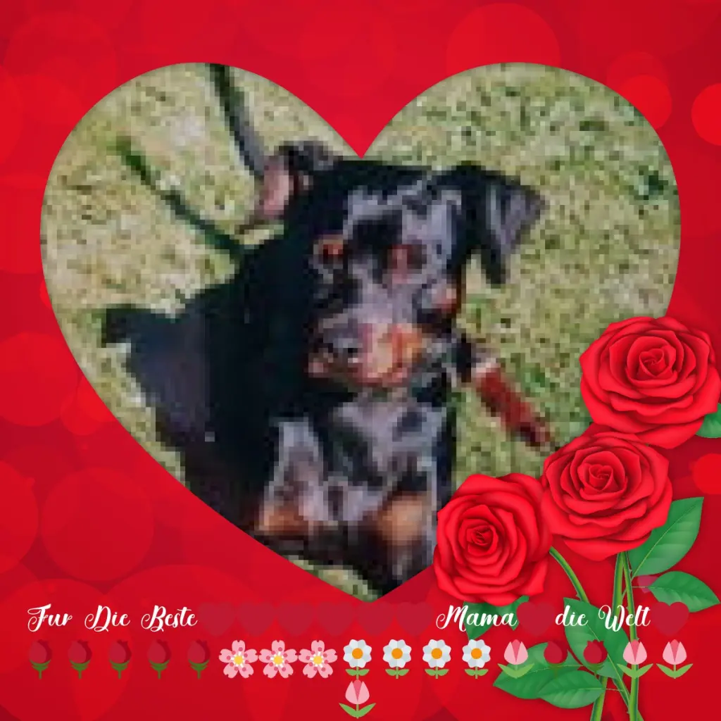 Condolence image of Rosen❤️❤️❤️fur Mama❤️
