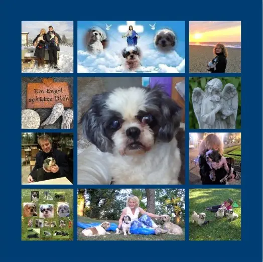 Condolence image of Danke