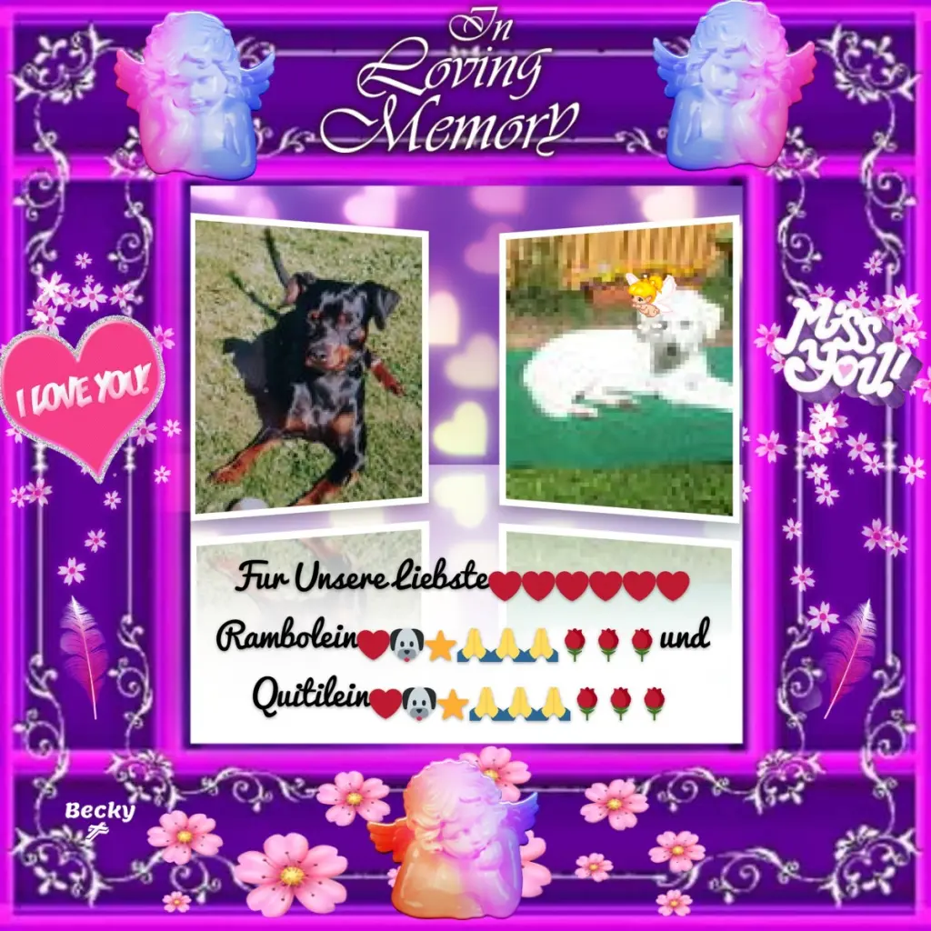 Condolence image of Fur Ramboleinchen❤️⭐️und Quitileinchen❤️⭐️