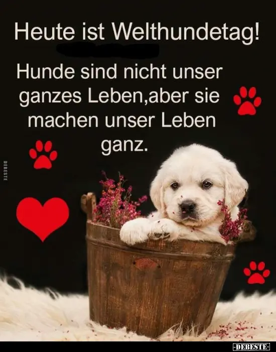 Condolence image of Fur Ramboleinchen❤️⭐️und Quitileinchen❤️⭐️
