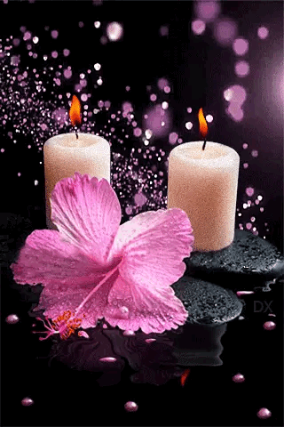 Condolence image of In Stillen Gedanken❤️❤️❤️