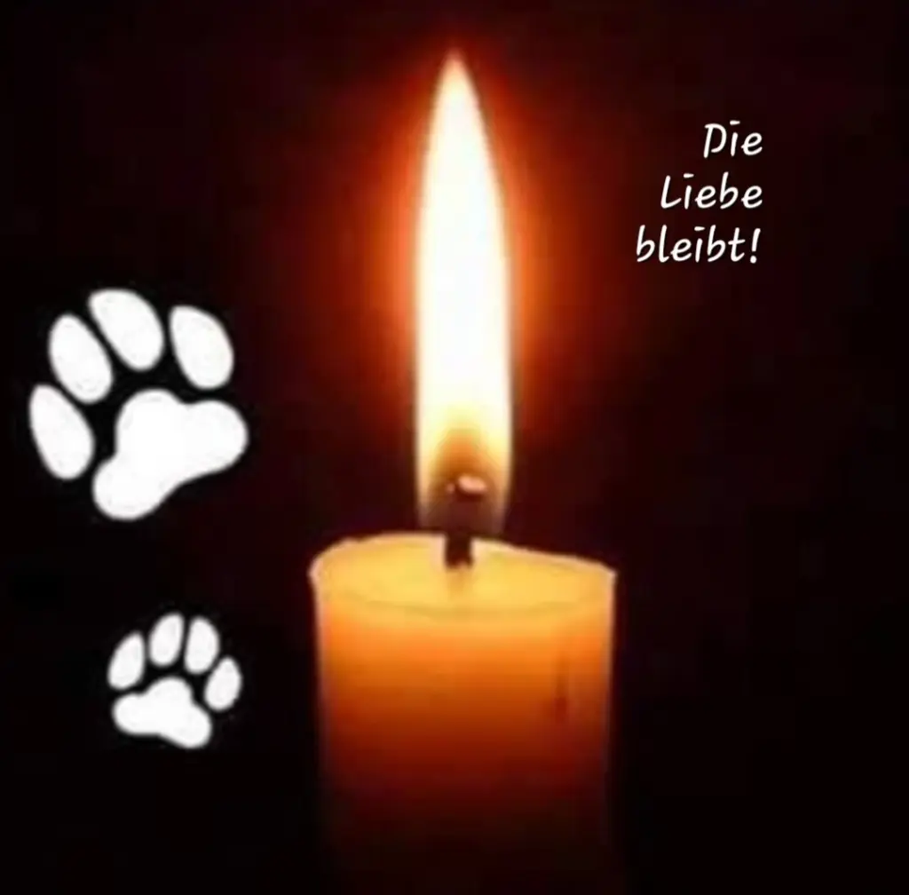 Condolence image of Birgit