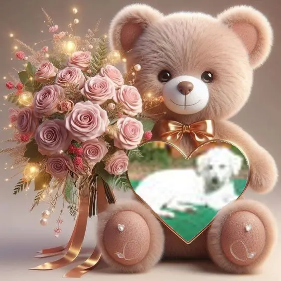 Condolence image of ❤️❤️❤️❤️❤️❤️❤️❤️❤️❤️❤️❤️