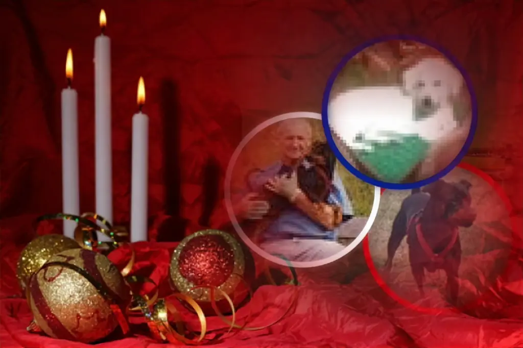 Condolence image of 3.Advent❤️Sonntag❤️❤️❤️