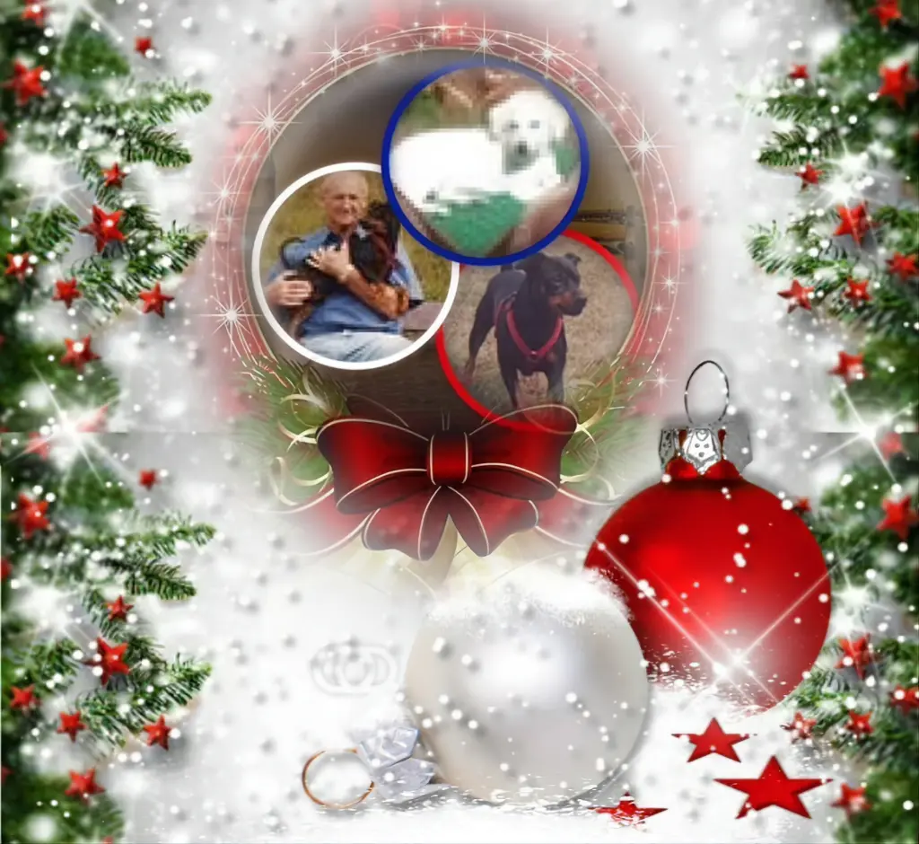 Condolence image of Frohe Weihnachten❤️⭐️❤️