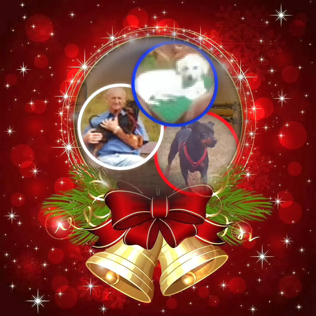 Condolence image of Frohe Weihnachten❤️⭐️❤️