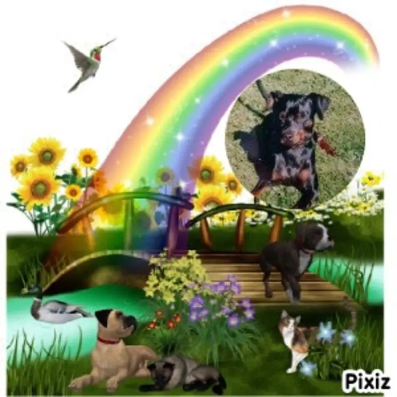 Condolence image of Marga