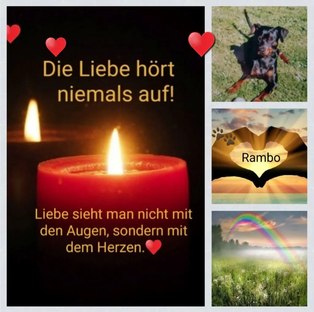 Condolence image of Birgit zum 9. Sternchengedenktag für Rambo