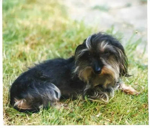 Bild von Peggy