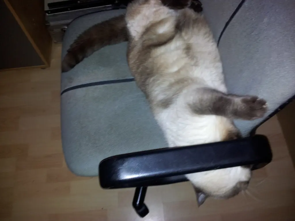Image from Balu