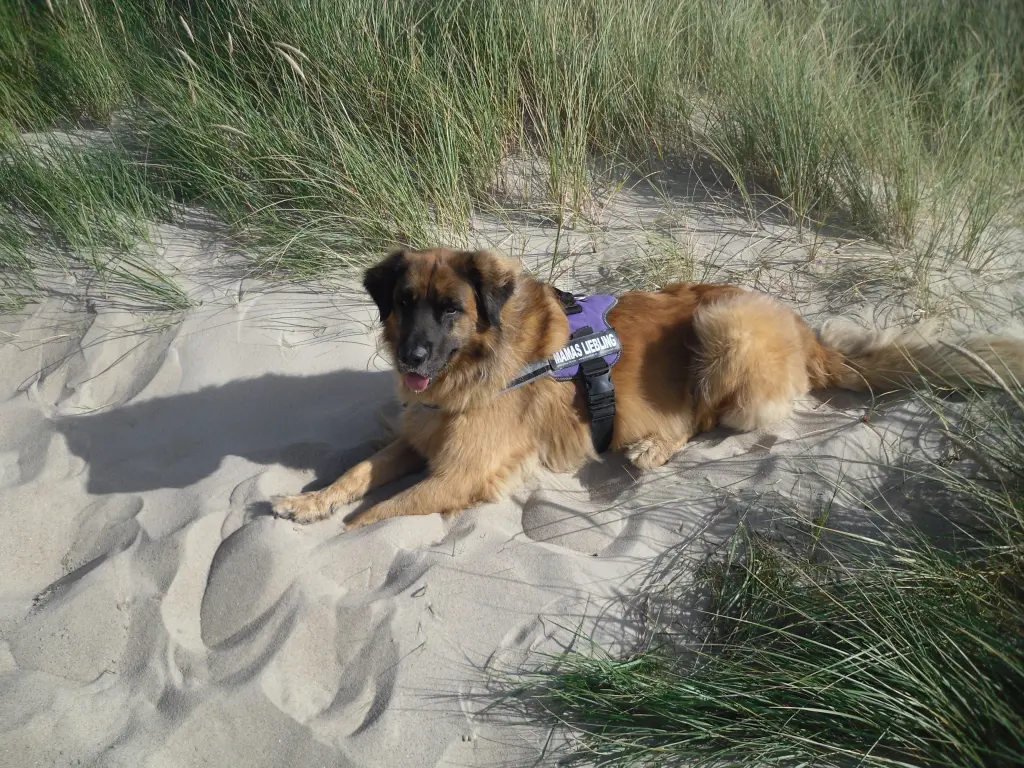 Image from Leonie
