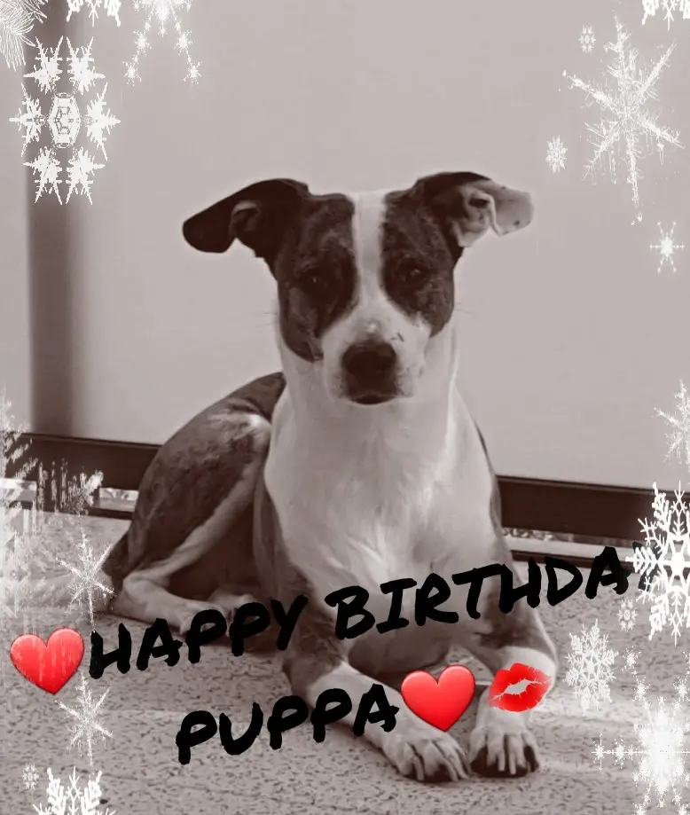 Image from Gina (Puppa)