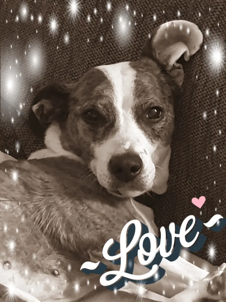 Image from Gina (Puppa)