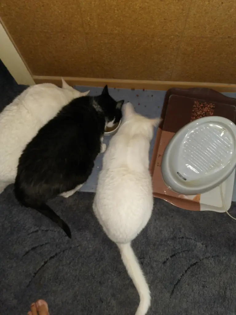 Andachtsbild von Marion