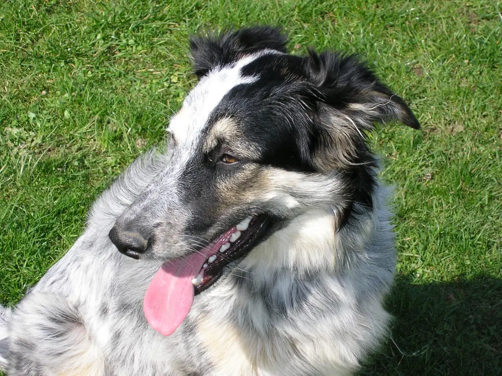 Condolence image of Tina