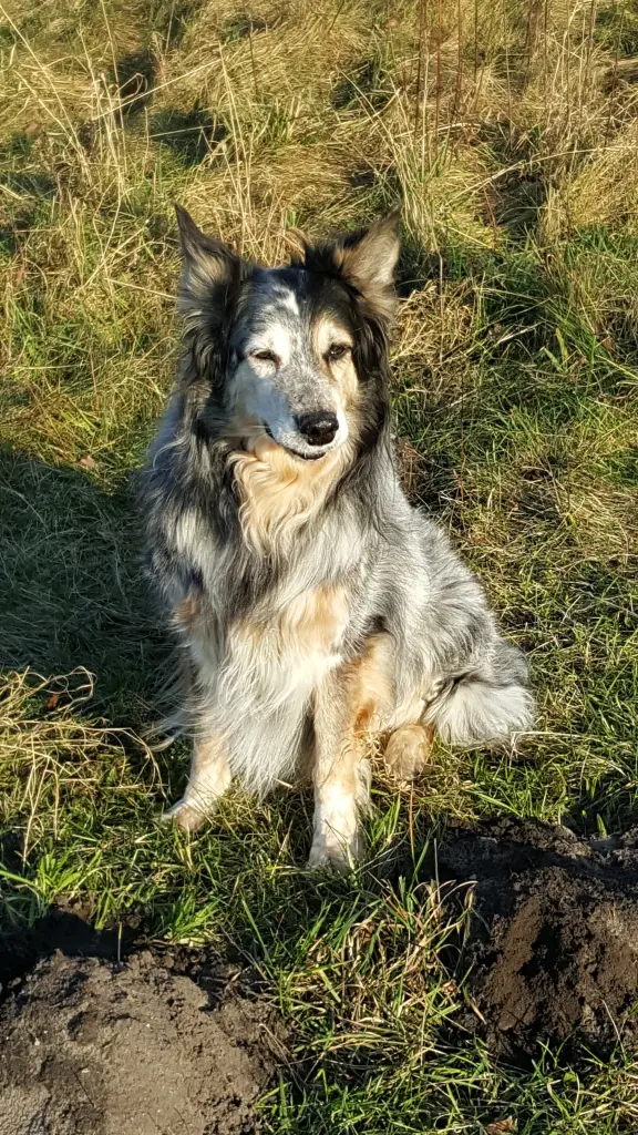 Condolence image of Tina