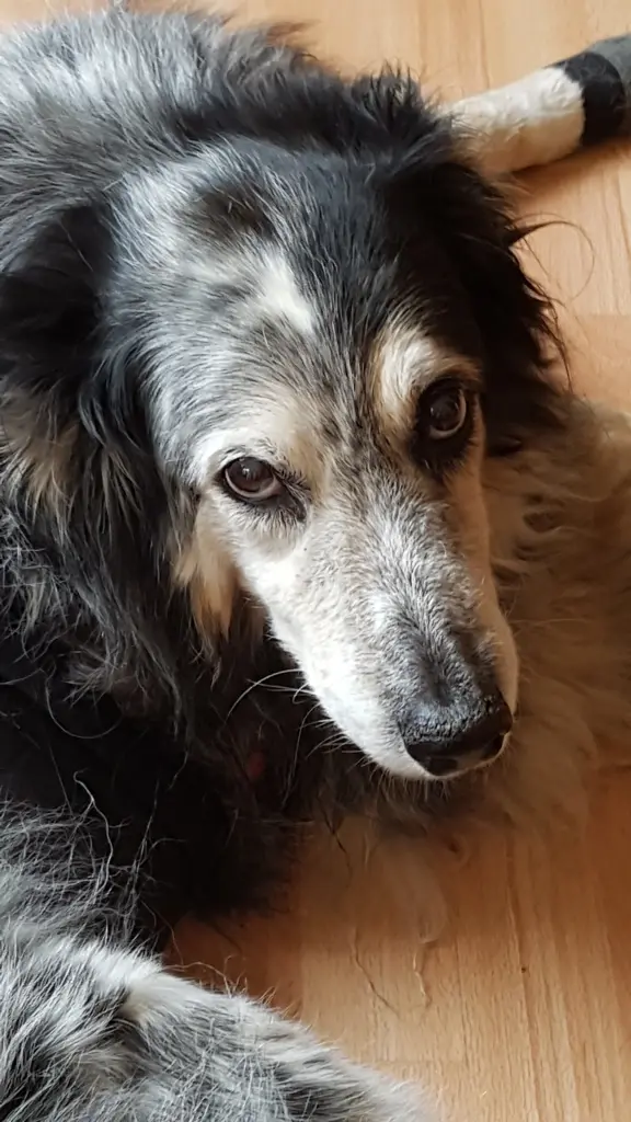 Condolence image of Tina