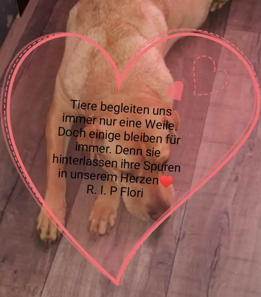 Condolence image of Katja
