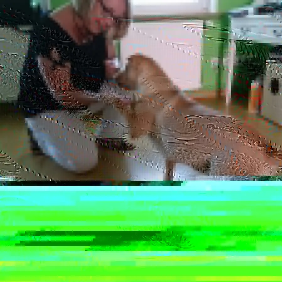 Image from Flori