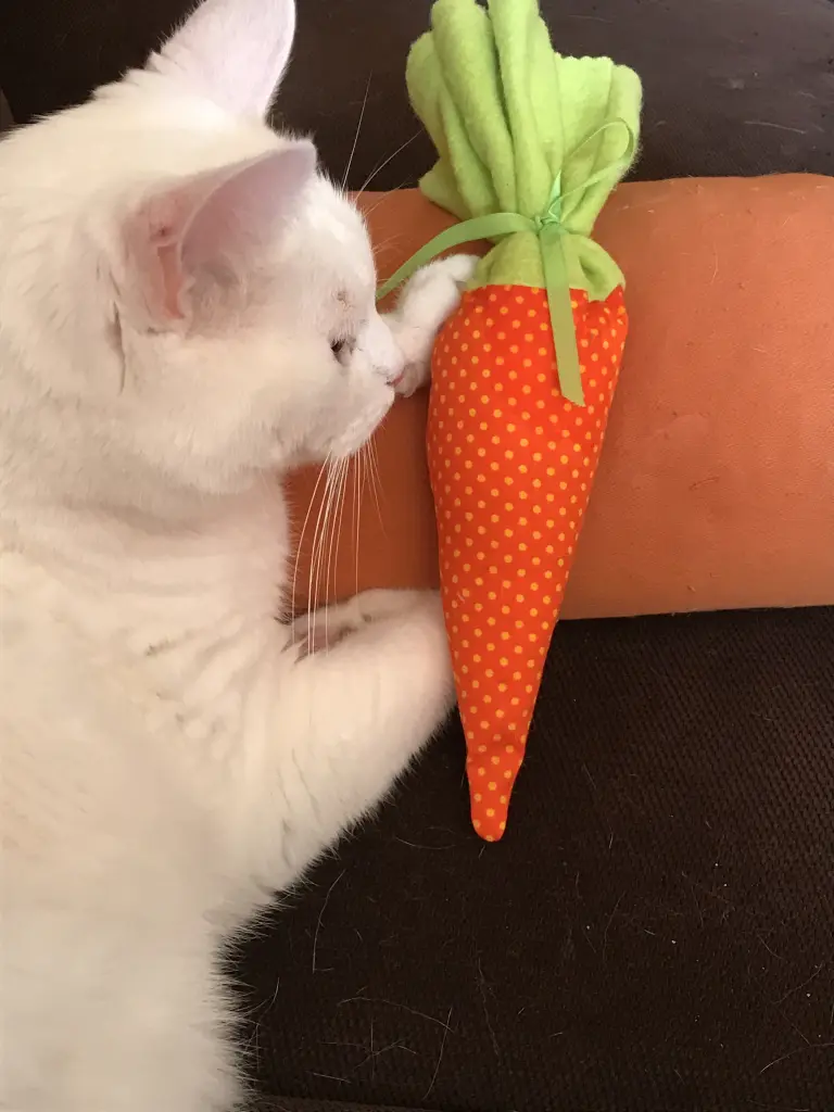 Image from Snowie