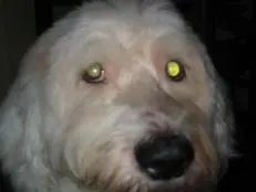 Bild von Penny