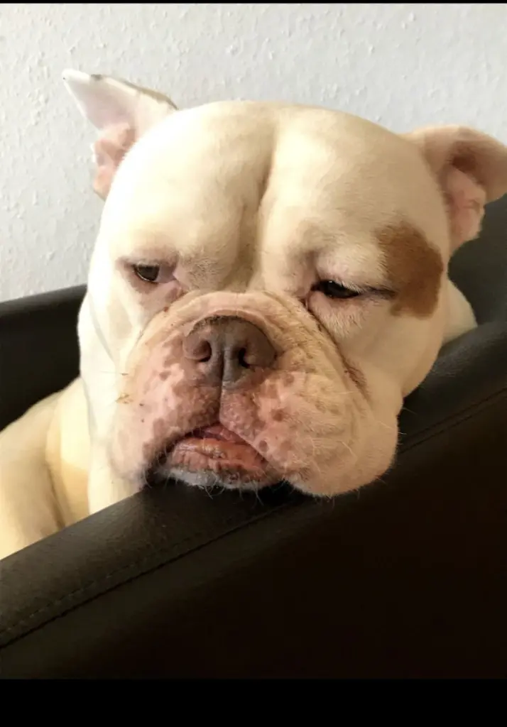 Condolence image of Bea