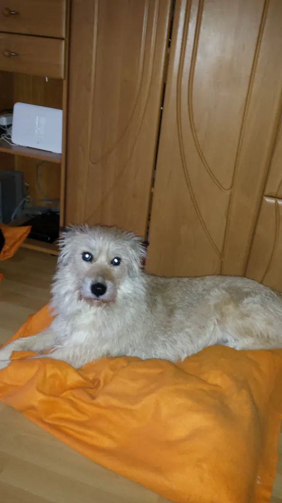 Image from Kira